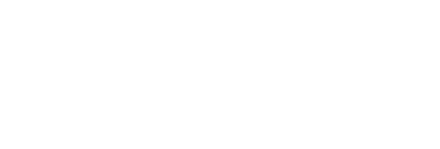 VIZAR